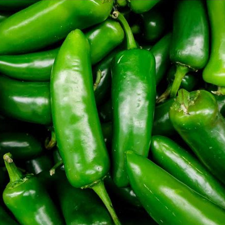 Jalapeño Peppers