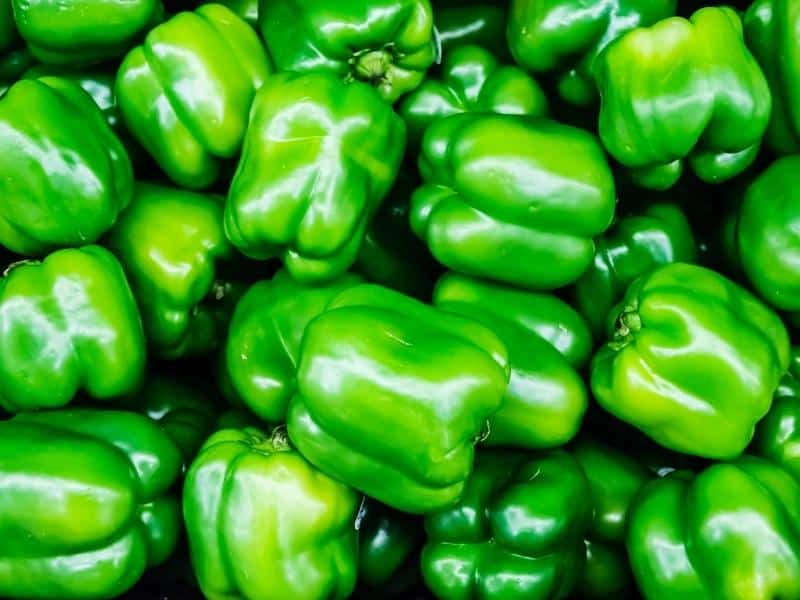 Green Bell Pepper